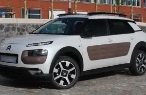C4 CACTUS