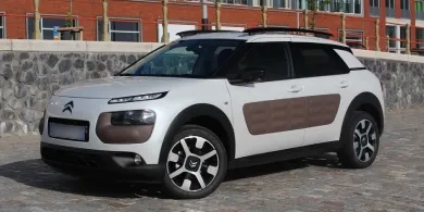 C4 CACTUS