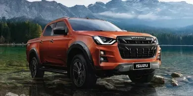 D MAX