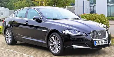 XF