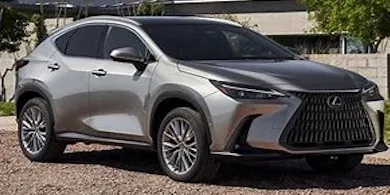 NX