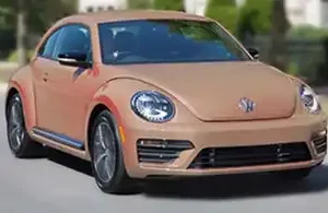 BEETLE